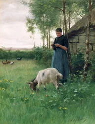 A Dutch girl with goat and chickens, c.1910